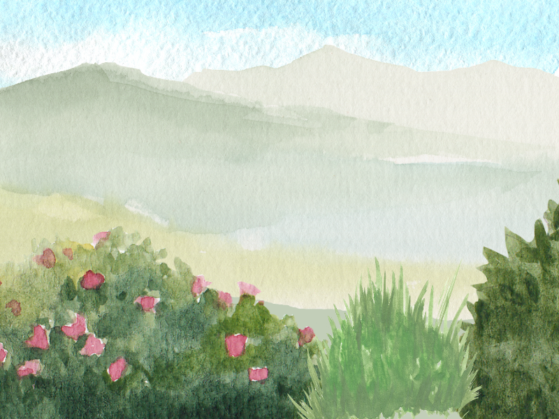 Fire-Resilient Landscaping