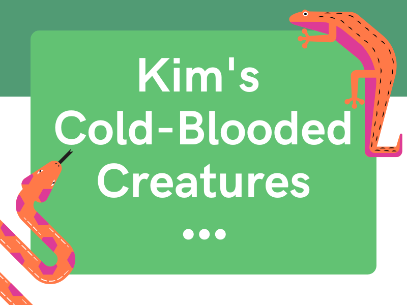 Kim's Cold-Blooded Creatures