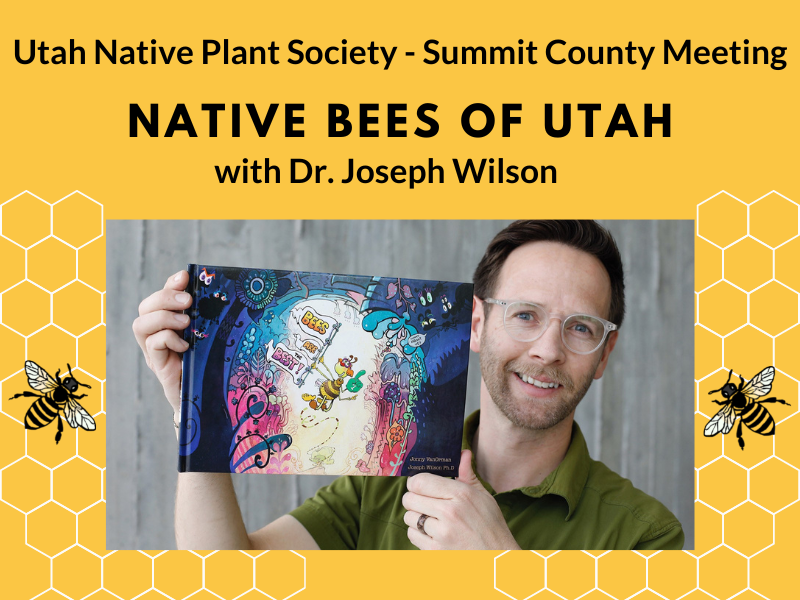 Native Bees of Utah