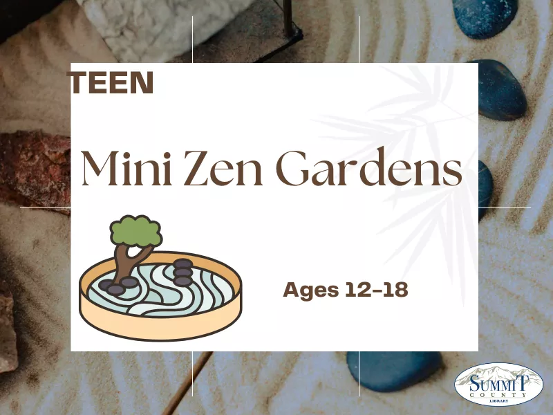 Mini Zen Gardens