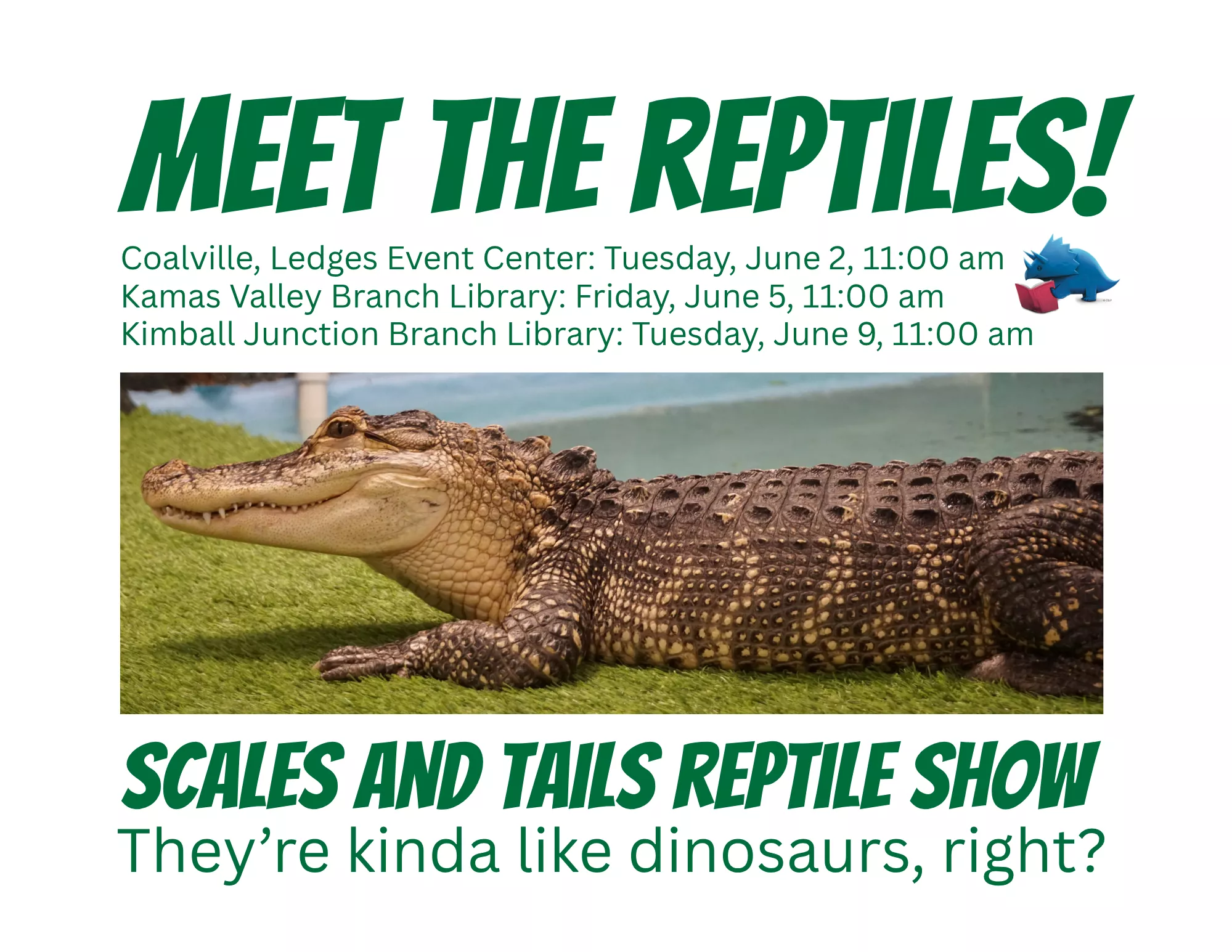Reptile Shows!