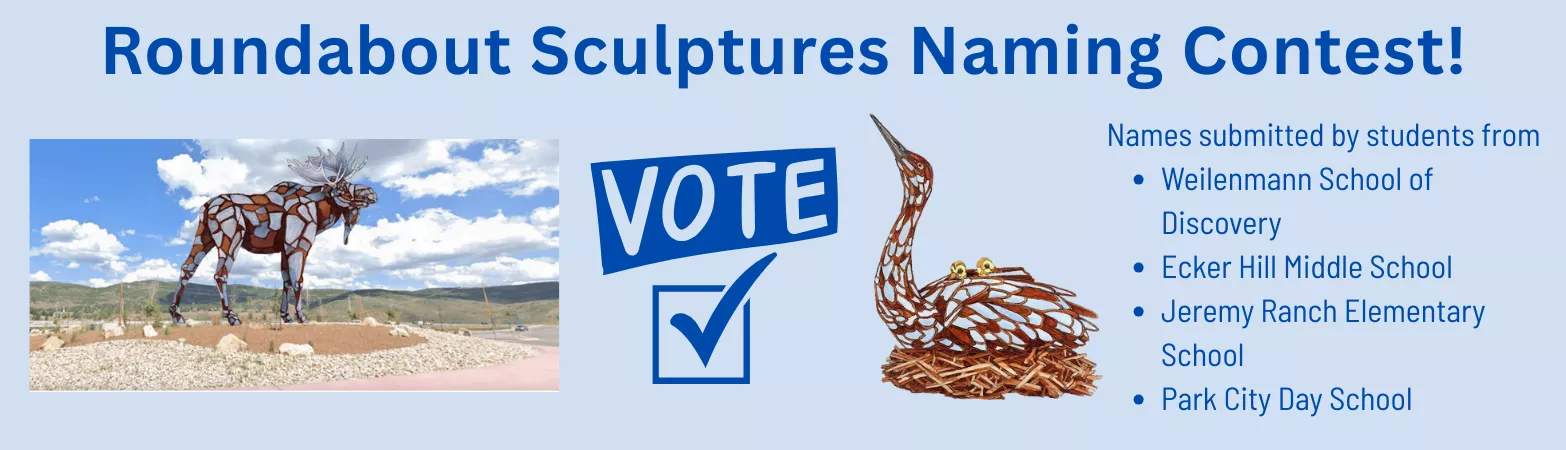 Roundabout Sculptures Naming Contest